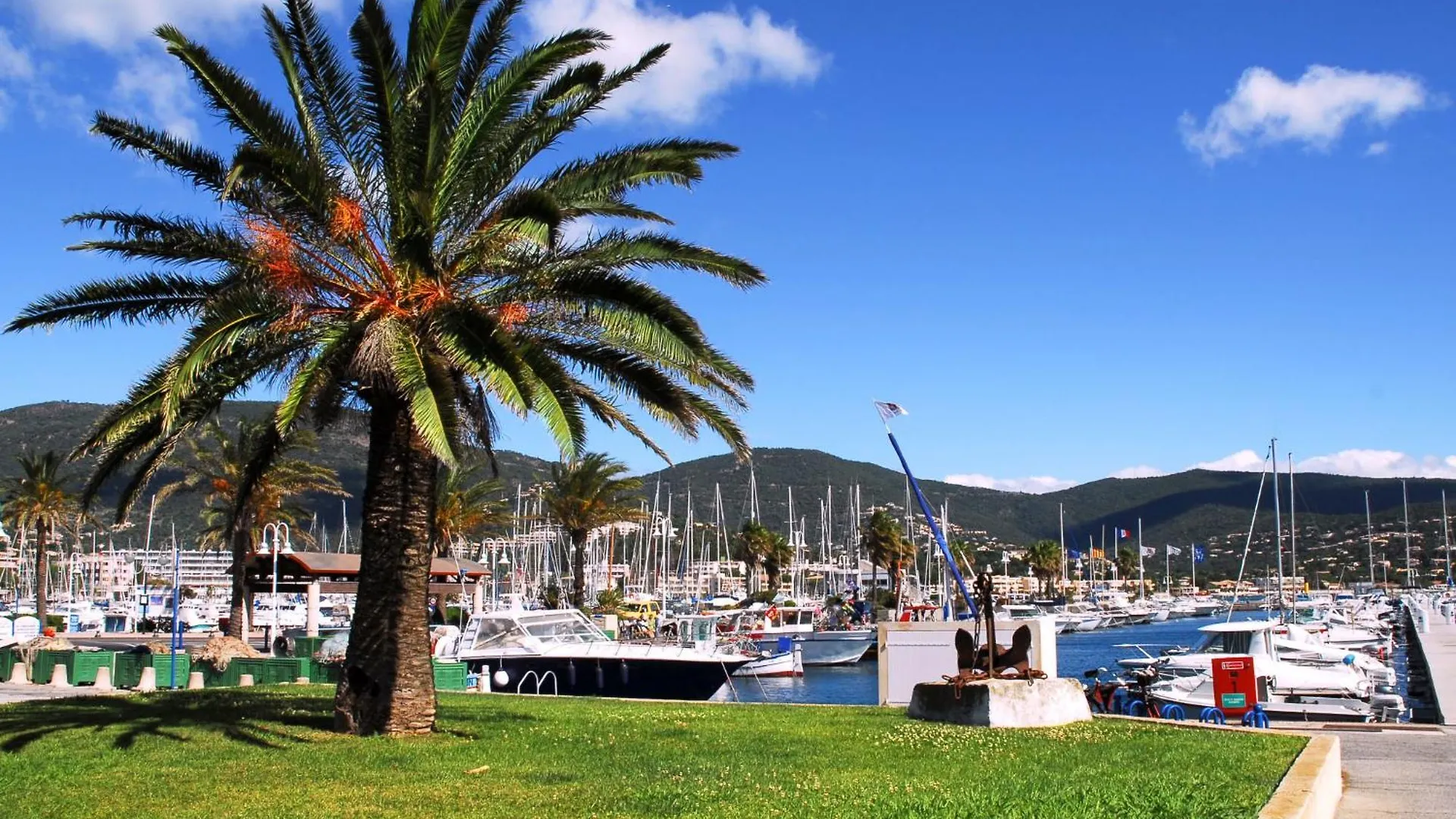 Apartment Les Hesperides-1 By Interhome Cavalaire-sur-Mer